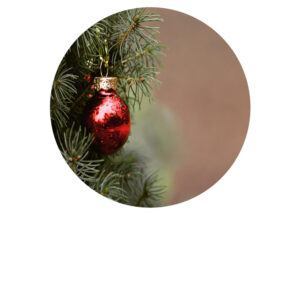 Foodprint Cirkel 18,5Cm Kerst 14