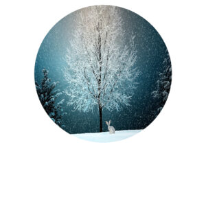 Foodprint Cirkel 18,5Cm Kerst 15